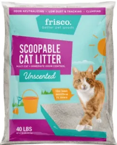 Best Cat Litter for Odor Control | Fluffy Kitty