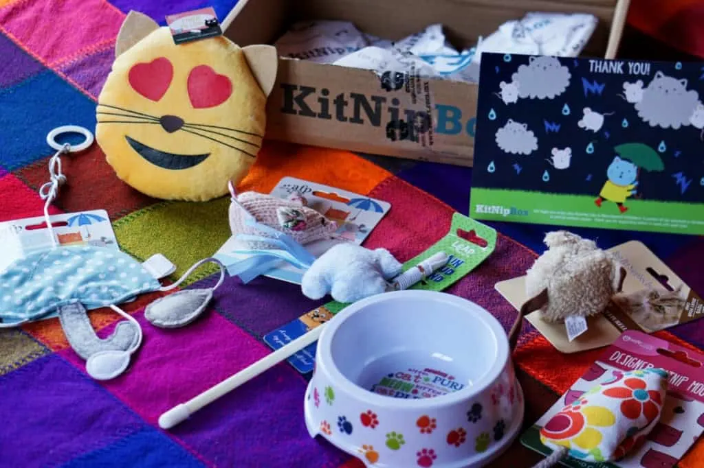 KitNipBox Review | Fluffy Kitty