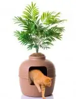 Good pet stuff plant hidden litter box