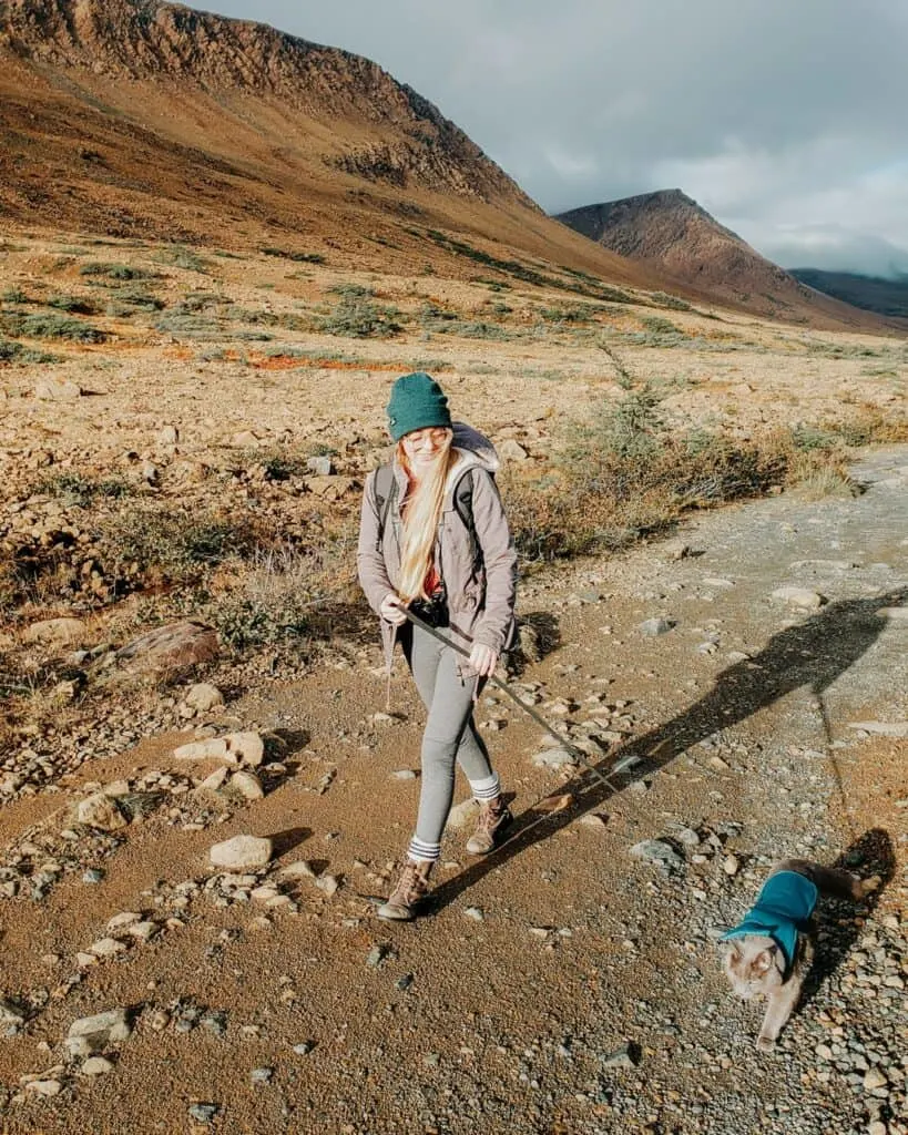 girl hiking with a cat