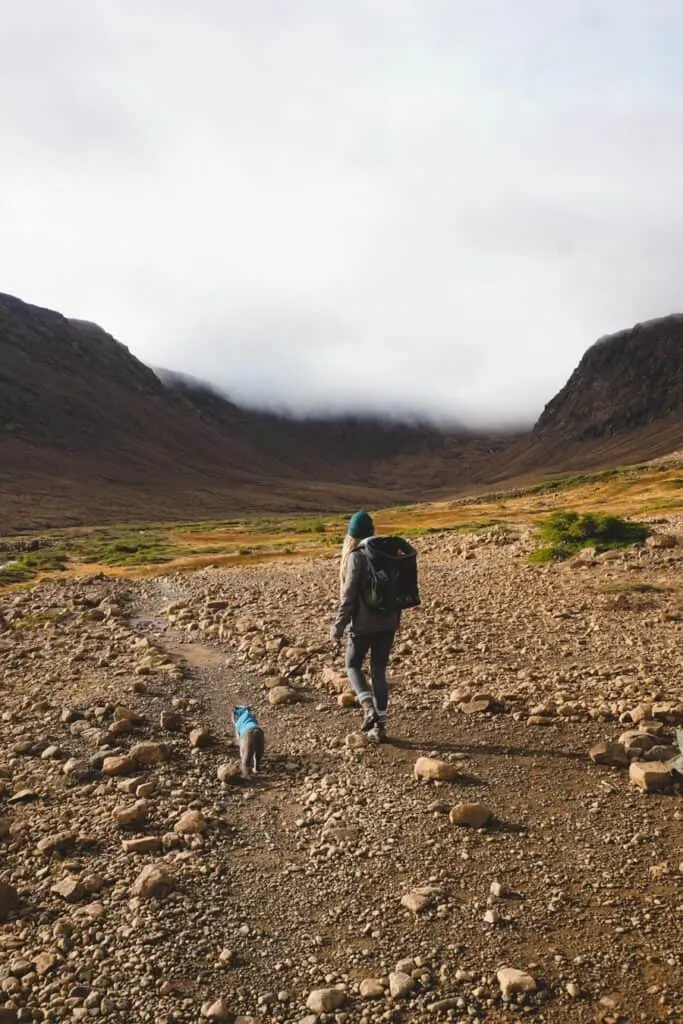girl and her cat hiking together outside on trail in Canada