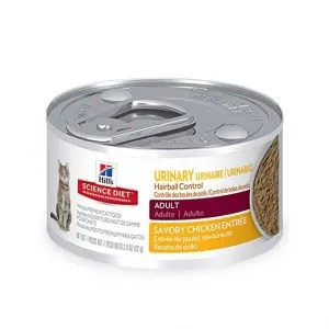 Best Cat Food for Urinary Tract Health | Fluffy Kitty