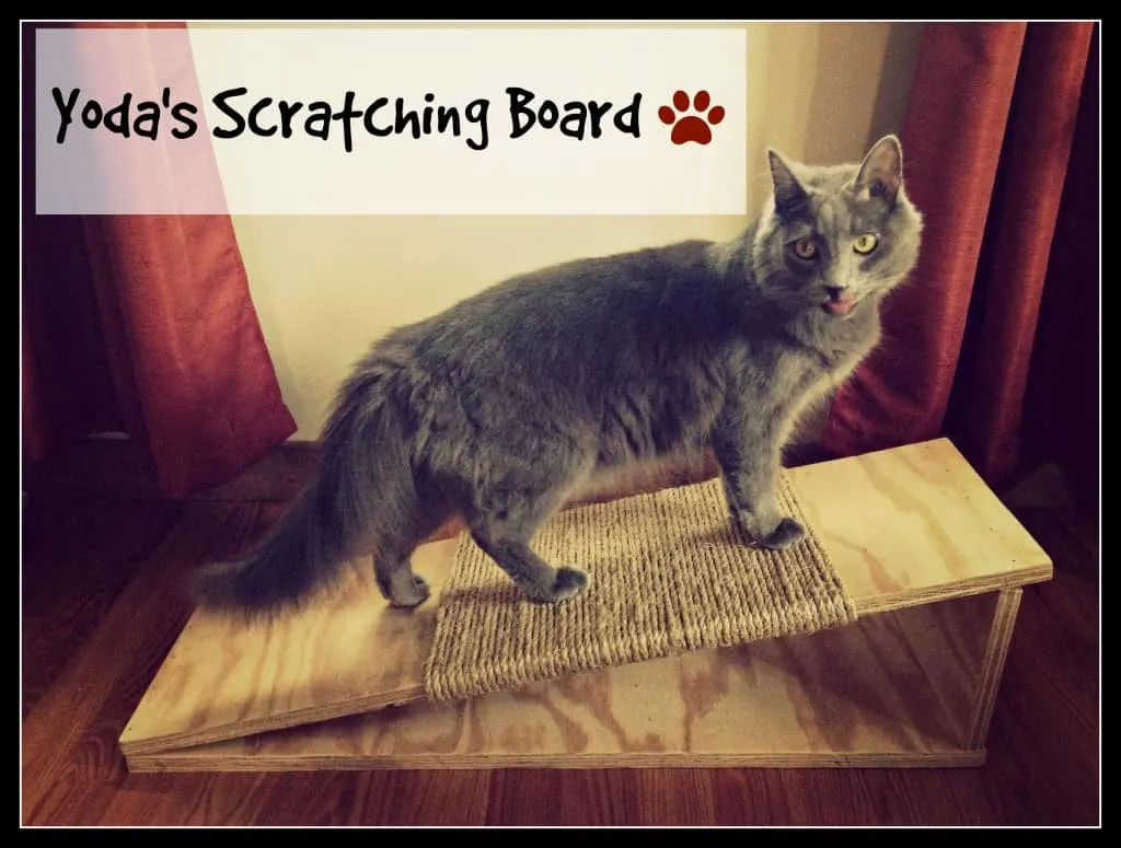 how to make a cat scratching board