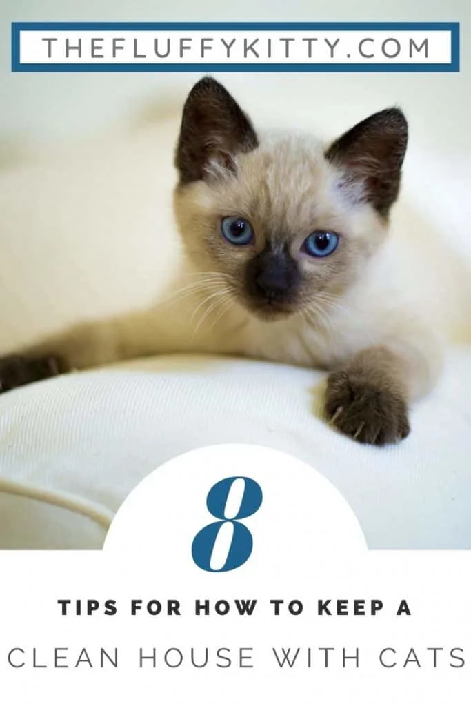 How to Keep a Clean House with Cats! Guide by The Fluffy Kitty www.thefluffykitty.com 