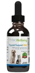 What Can a Hyperthyroid Cat Eat? | Fluffy Kitty
