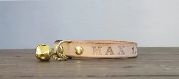 Best cat collars - Fluffy Kitty