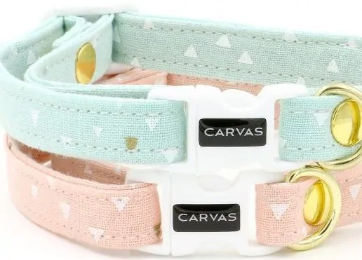 Best cat collars - Fluffy Kitty