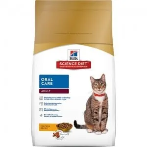 How to clean my cat's teeth kibble oral care
