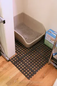 how to stop my cat from tracking litter everywhere