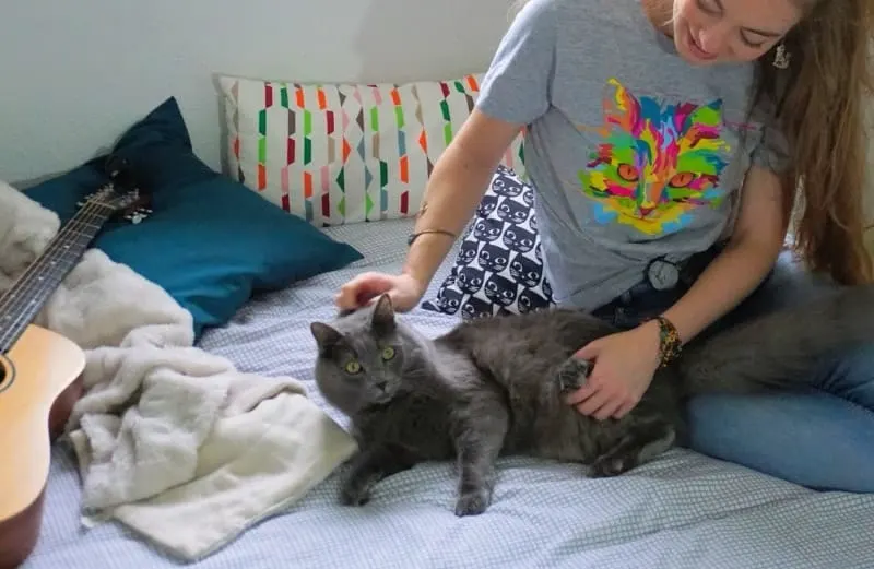 Kitty Shirt | Our Review | Fluffy Kitty