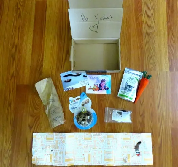meowbox review