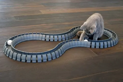 Best Christmas Gifts for Cats/Fluffy Kitty