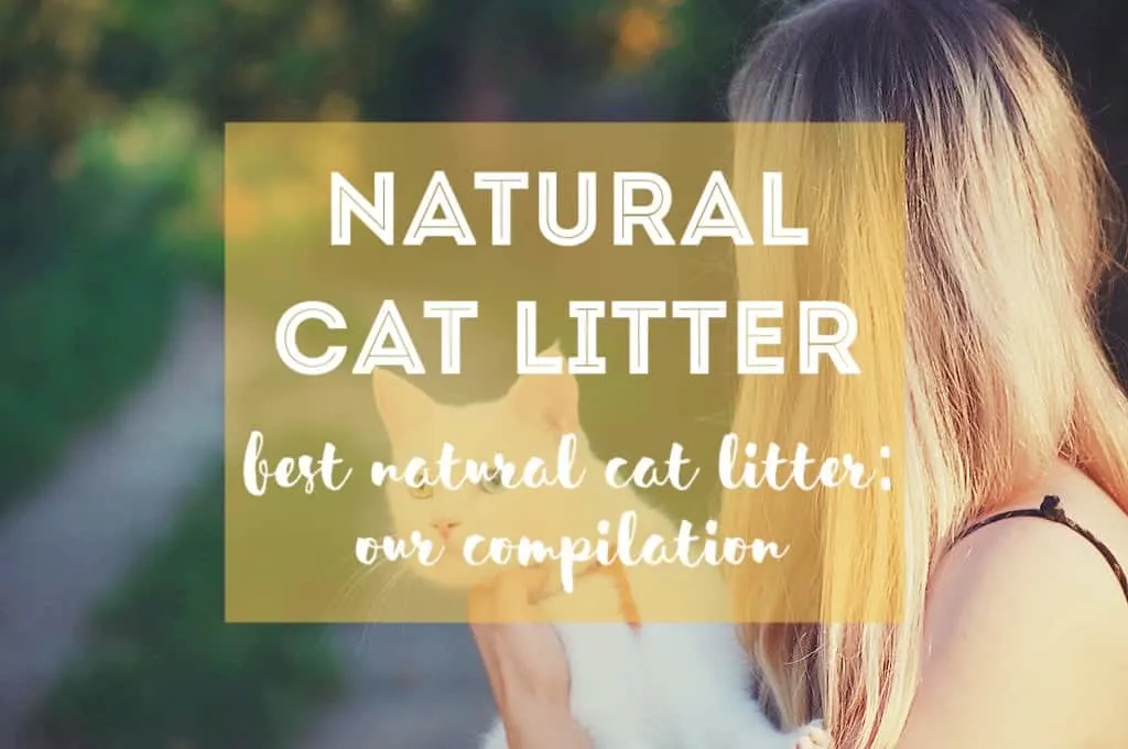 Best Natural Cat Litter Compilation 2018 | Fluffy Kitty