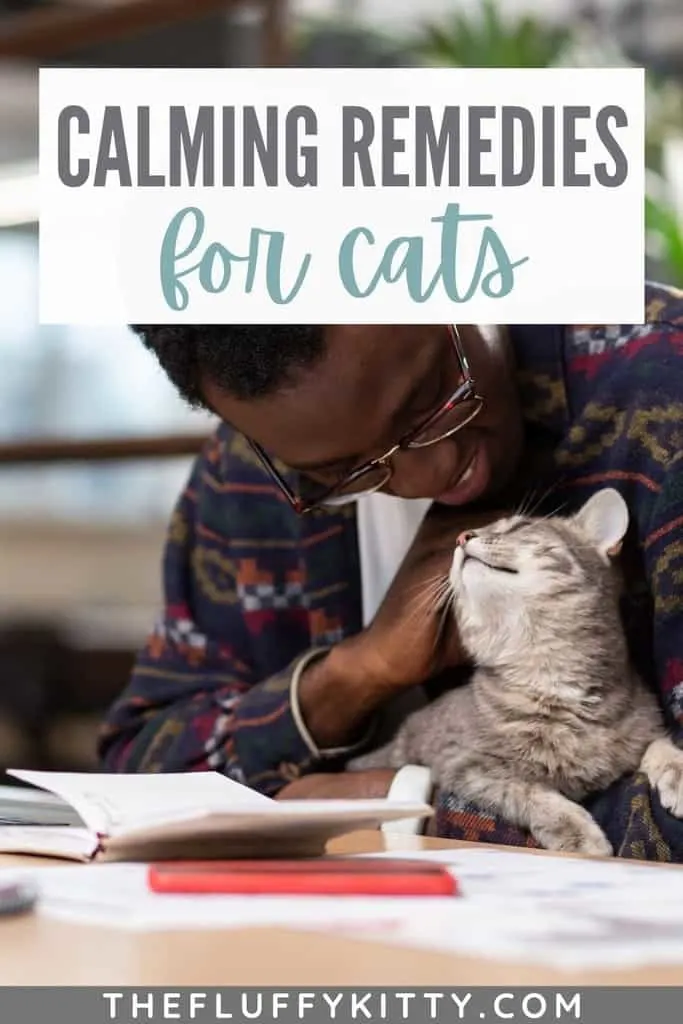Best Natural Calming Remedies for Cats