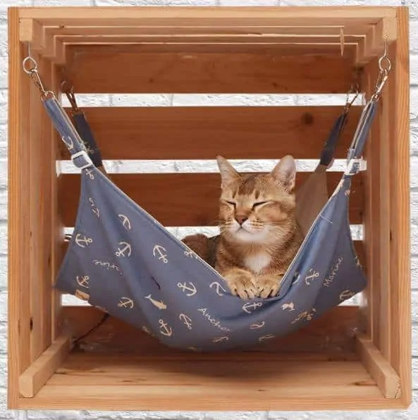 Tuft + Paw Sustainable Cat Furniture Design Competition | Fluffy Kitty 