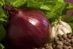 can cats have garlic