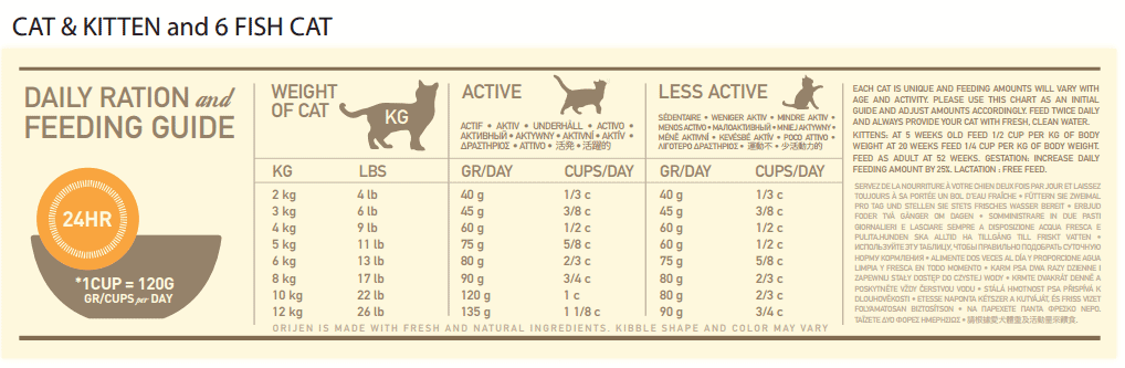 Cat nutrition - Fluffy Kitty 