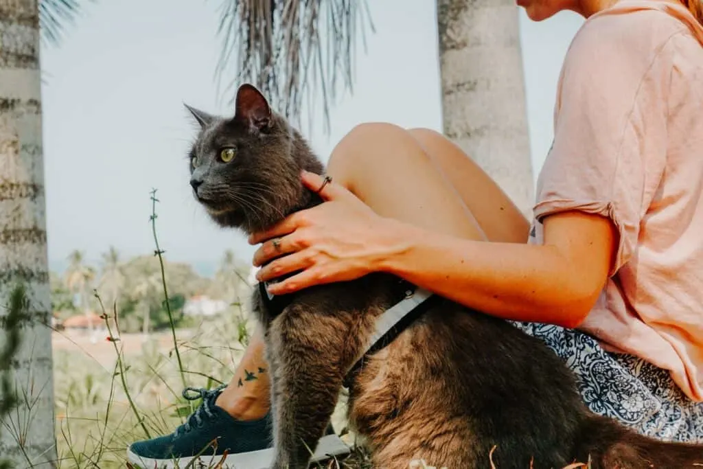 girl sitting next to cat on leash outdoors