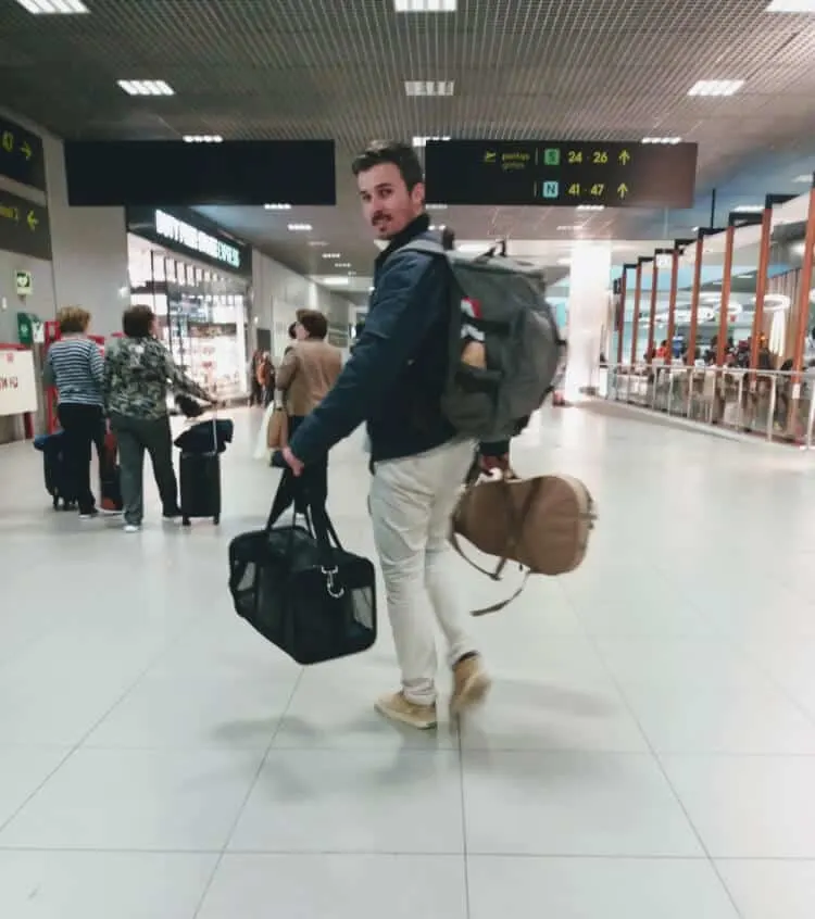 Moving Overseas with Cats | Fluffy Kitty