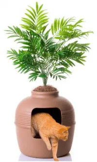 Best Cat Litter Box Furniture | Fluffy Kitty