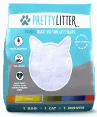 Best Cat Litter for Odor Control | Fluffy Kitty
