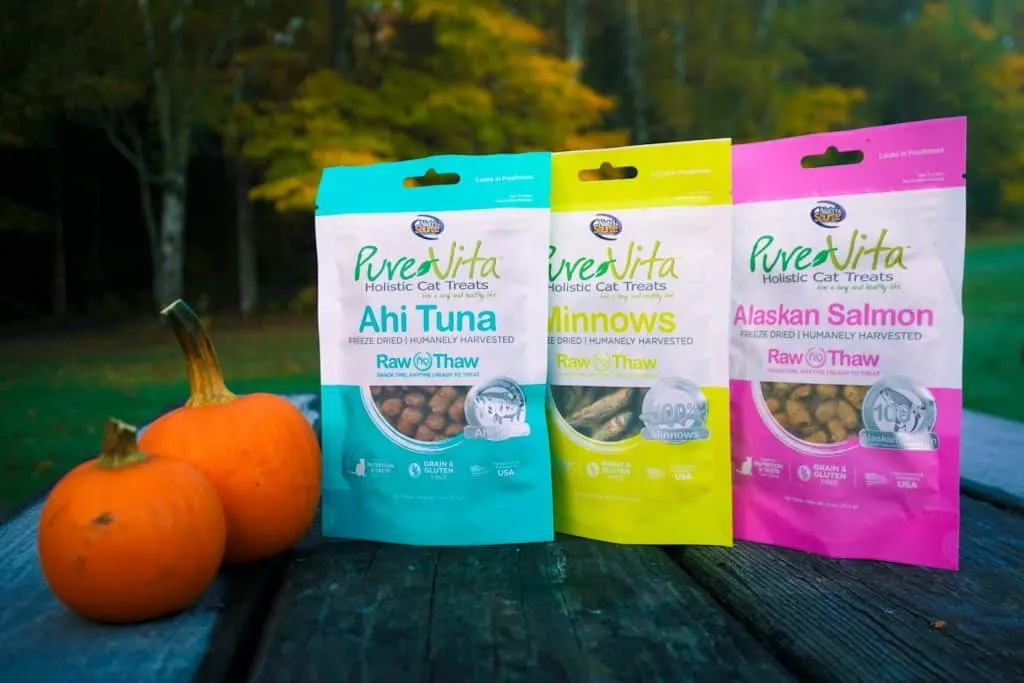 PureVita's Freeze-Dried Cat Treats | Review by Fluffy Kitty www.thefluffykitty.com #cattreats #fluffykitty