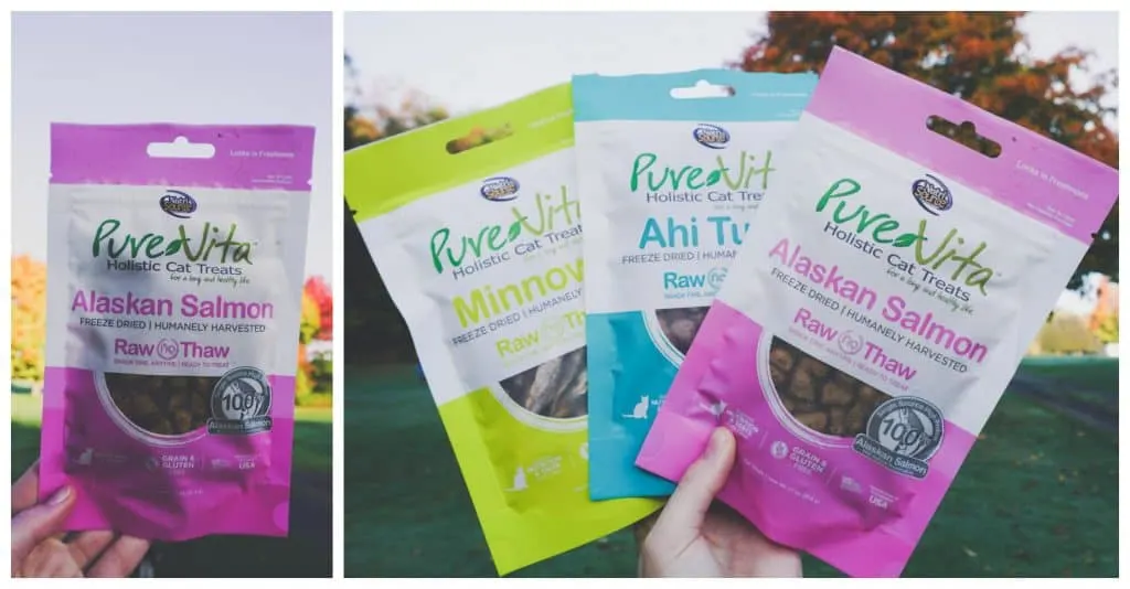 PureVita's Freeze-Dried Cat Treats | Review by Fluffy Kitty www.thefluffykitty.com #cattreats #fluffykitty