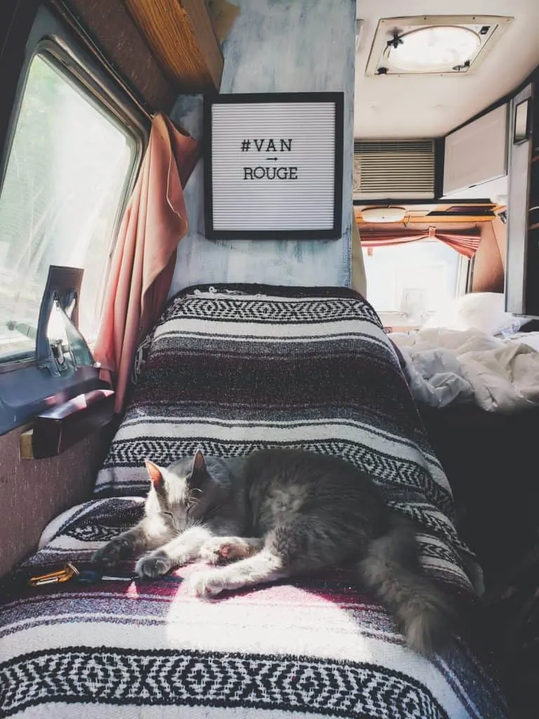Van Life with Cats: Ultimate guide on how to manage living and traveling full-time with a cat in a camper van. www.thefluffykitty.com @fluffyyoda The Fluffy Kitty #vancat #vanlife #vancatmeow #vanlifewithcats