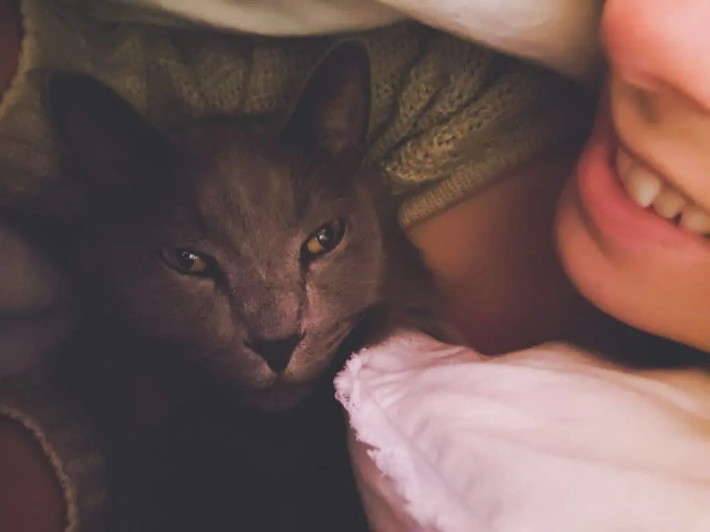 Van Life with Cats: Ultimate guide on how to manage living and traveling full-time with a cat in a camper van. www.thefluffykitty.com @fluffyyoda The Fluffy Kitty #vancat #vanlife #vancatmeow #vanlifewithcats