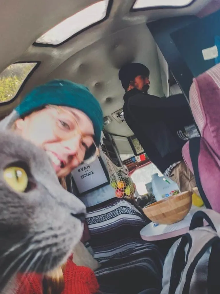 Van Life with Cats: Ultimate guide on how to manage living and traveling full-time with a cat in a camper van. www.thefluffykitty.com @fluffyyoda The Fluffy Kitty #vancat #vanlife #vancatmeow #vanlifewithcats