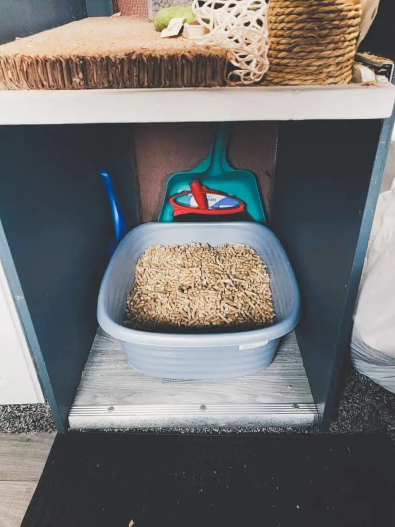 Van Life with Cats: Ultimate guide on how to manage living and traveling full-time with a cat in a camper van. www.thefluffykitty.com @fluffyyoda The Fluffy Kitty #vancat #vanlife #vancatmeow #vanlifewithcats