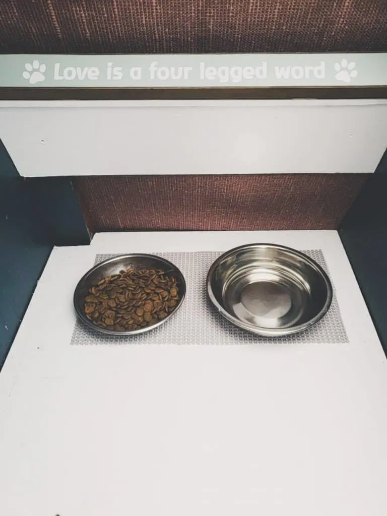 Van Life with Cats: Ultimate guide on how to manage living and traveling full-time with a cat in a camper van. www.thefluffykitty.com @fluffyyoda The Fluffy Kitty #vancat #vanlife #vanlifers #vanlifewithcats