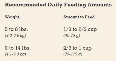 Cat nutrition - Fluffy Kitty
