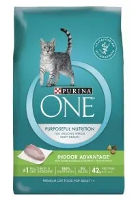 Purina One Dry Cat food for maine coons