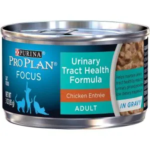 Best Cat Food for Urinary Tract Health 