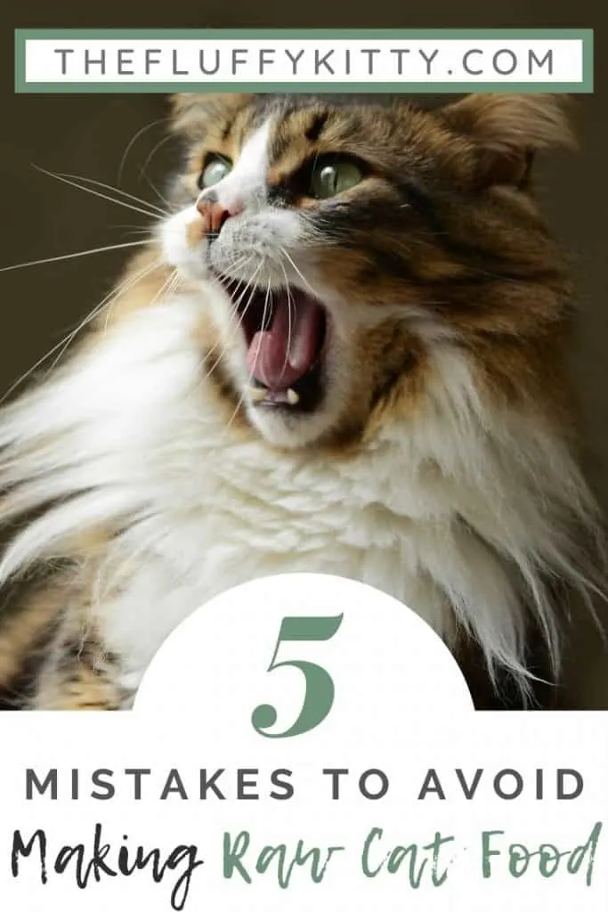 How NOT to Make Raw Cat Food | The Fluffy Kitty