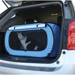 Best Cat Carriers/ Fluffy Kitty
