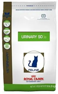 Best Cat Food for Urinary Tract Health | Fluffy Kitty