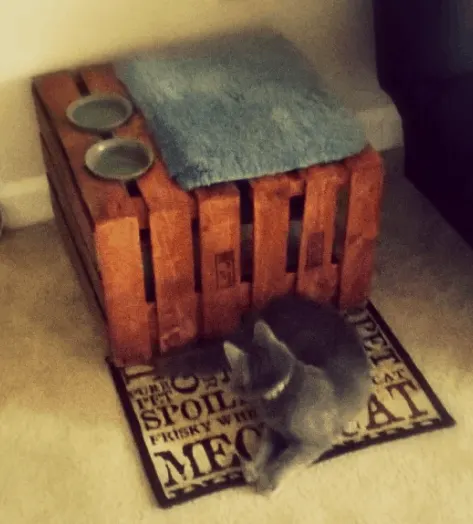 large litter boxes