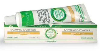 best cat toothpaste