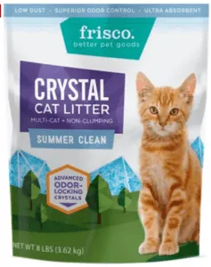 Best Cat Litter for Odor Control | Fluffy Kitty