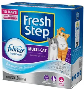 Best Cat Litter for Odor Control | Fluffy Kitty
