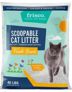 Best Cat Litter for Odor Control | Fluffy Kitty