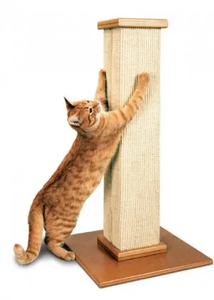 Best Cat Scratching Post for Cats | smartcat ultimate scratching post