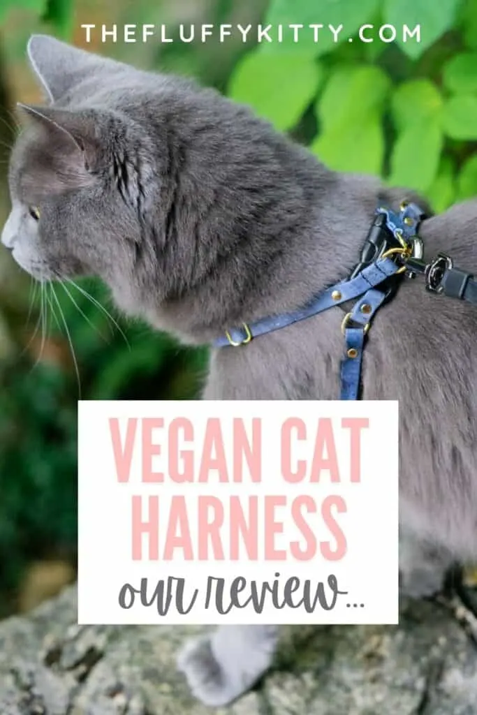cat wearing blue vegan cork cat harness with text overlay