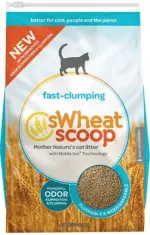 Best Cat Litter for Odor Control | Fluffy Kitty