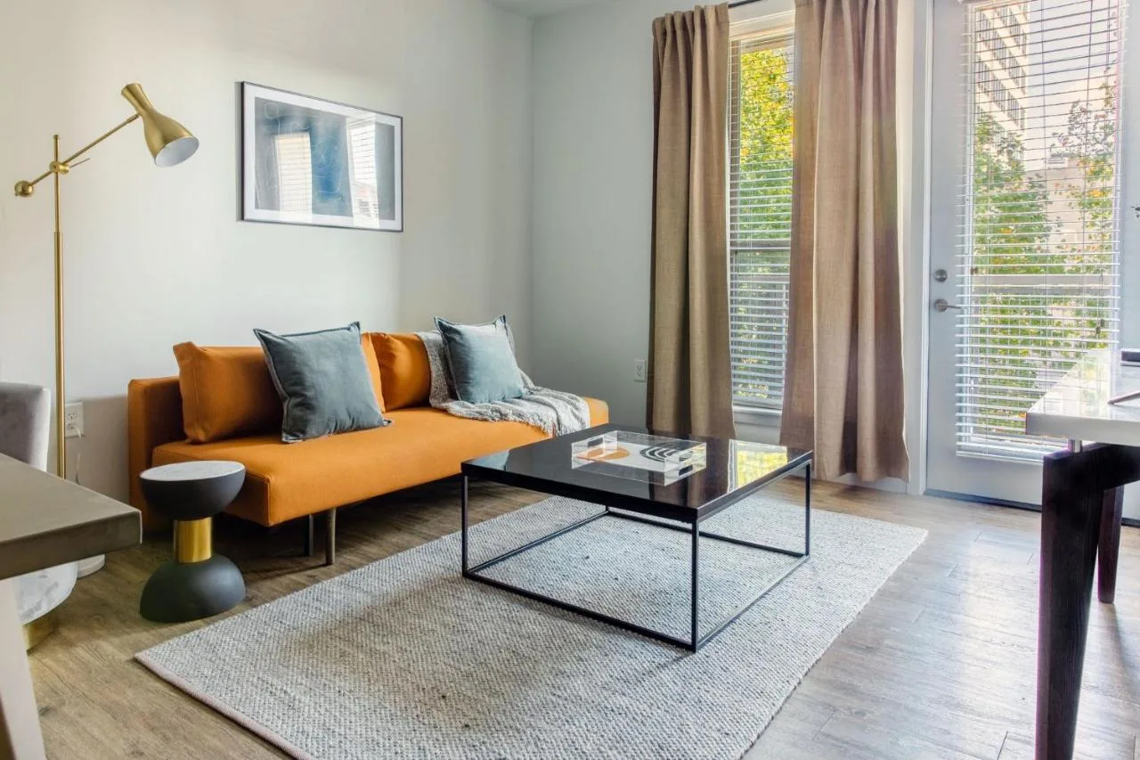 clean and modern pet-friendly apartment in nashville