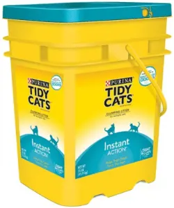 Best Cat Litter for Odor Control | Fluffy Kitty
