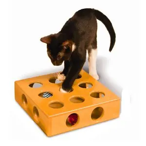 Best Christmas Gifts for Cats/Fluffy Kitty