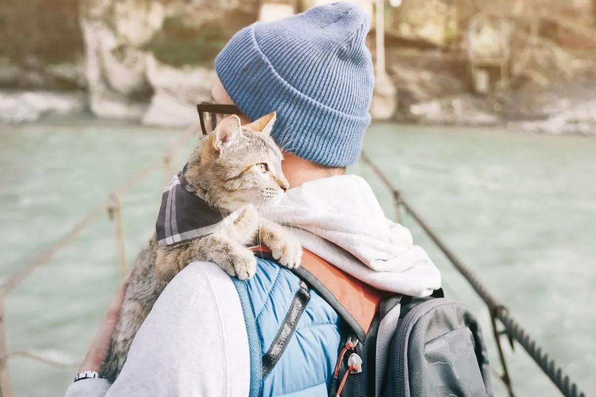 cat on man's shoulder outside